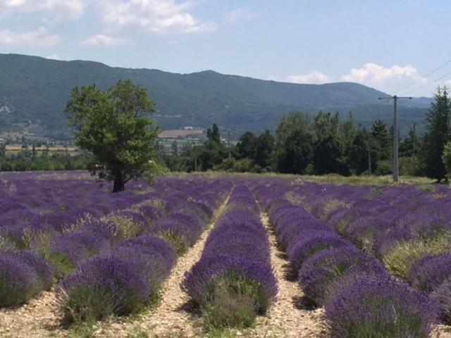 Logis Hotel Du Midi Salon-de-Provence Exteriör bild